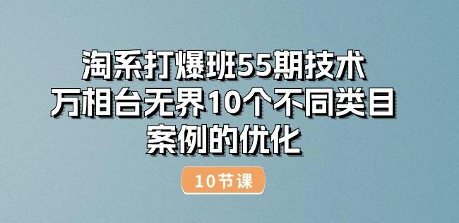 淘系打爆班55期技术:万相台无界10个不同类目案例的优化(10节)-副业团