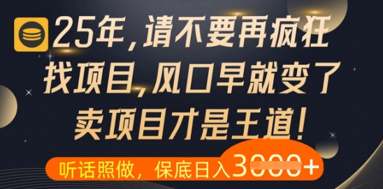 什么?25年你还在疯狂找项目做,醒醒吧,看完这些你全都懂了【揭秘】-副业团