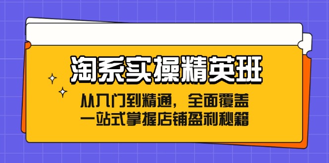 淘系实操精英班:从入门到精通,全面覆盖,一站式掌握店铺盈利秘籍-副业团