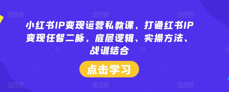 小红书IP变现运营私教课，打通红书IP变现任督二脉，底层逻辑、实操方法、战训结合-副业团