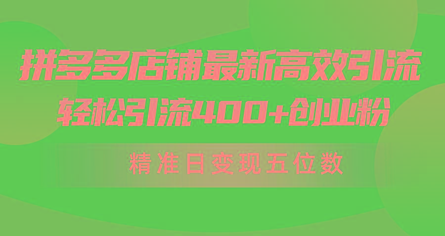 (10041期)拼多多店铺最新高效引流术,轻松引流400+创业粉,精准日变现五位数!-副业团