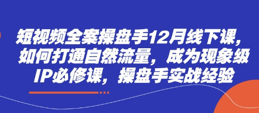 短视频全案操盘手12月线下课,如何打通自然流量,成为现象级IP必修课,操盘手实战经验-副业团