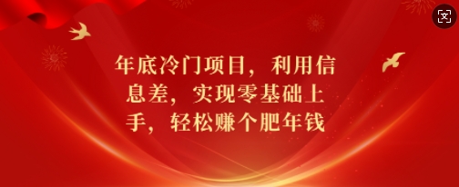 年底冷门项目,利用信息差,实现零基础上手,轻松赚个肥年钱【揭秘】-副业团