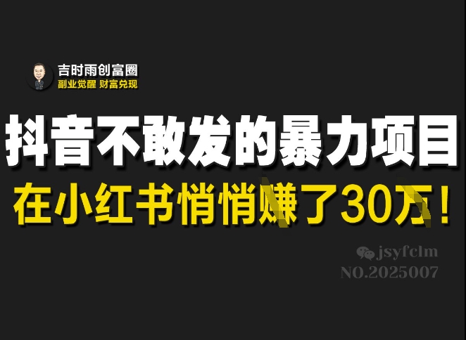 抖音不敢发的暴利项目,在小红书悄悄挣了30W-副业团