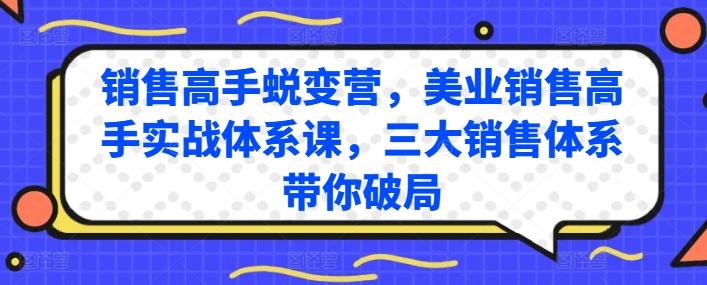销售高手蜕变营，美业销售高手实战体系课，三大销售体系带你破局-副业团