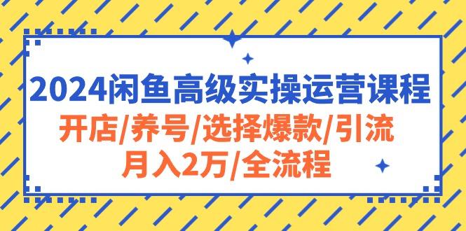 2024闲鱼高级实操运营课程:开店/养号/选择爆款/引流/月入2万/全流程-副业团