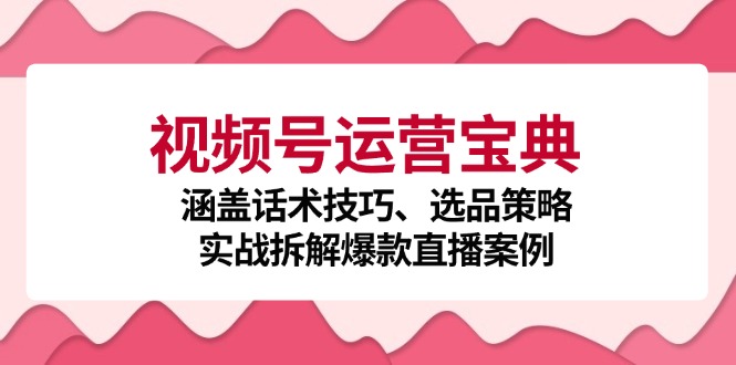 视频号运营宝典:涵盖话术技巧、选品策略、实战拆解爆款直播案例-副业团