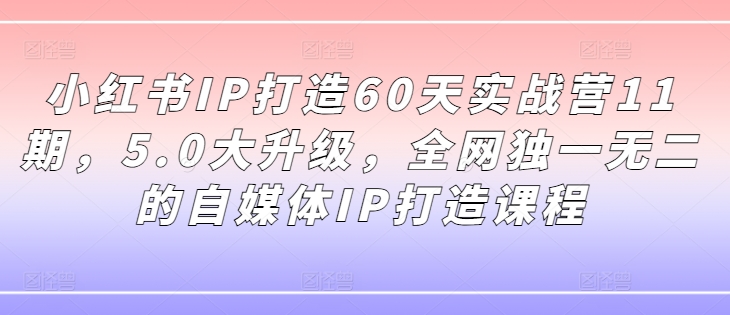 小红书IP打造60天实战营11期,5.0大升级,全网独一无二的自媒体IP打造课程-副业团