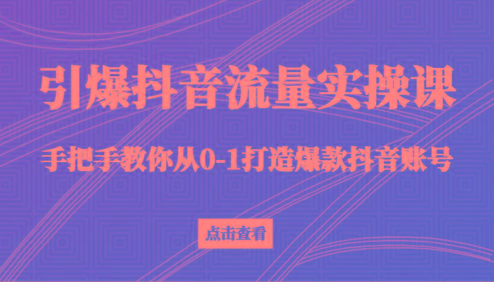 引爆抖音流量实操课,手把手教你从0-1打造爆款抖音账号(27节课)-副业团