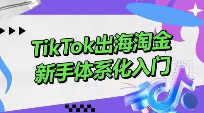 TikTok出海淘金,新手体系化入门,零基础快速入门,掌握短视频、直播带货等引流到变现的知识-副业团