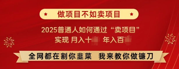 必看,做项目不如卖项目,2025普通人如何通过“卖项目”实现月入十个,年入百个-副业团