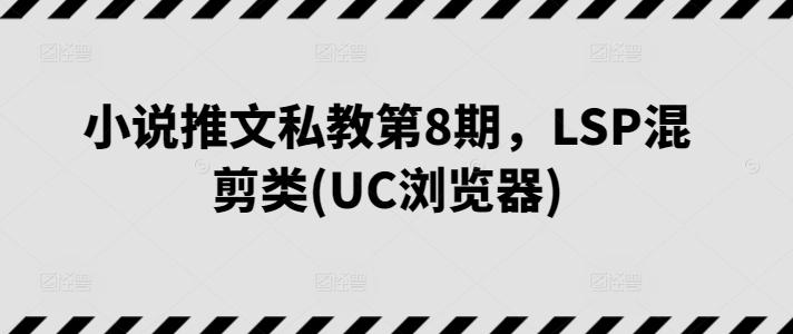 小说推文私教第8期,LSP混剪类(UC浏览器)-副业团