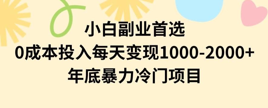 小白副业首选,0成本投入,每天变现1000-2000年底暴力冷门项目【揭秘】-副业团