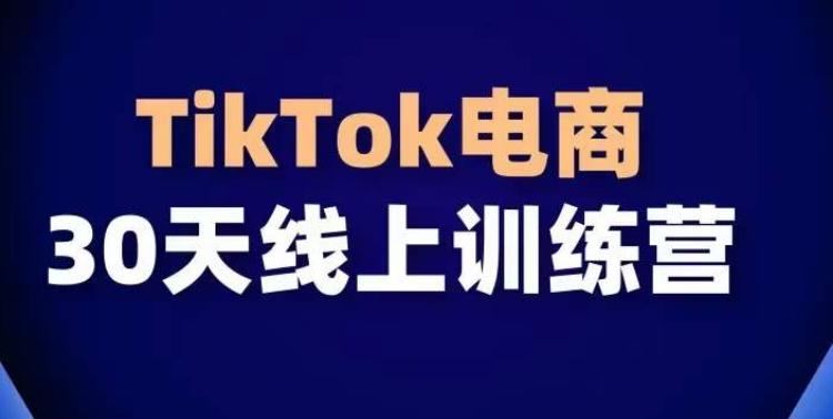 TikTok电商带货30天线上课,不可错过的全球流量洼地!