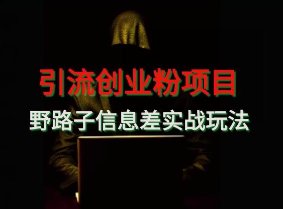 【引流创业粉】野路子信息差玩法实战教学-副业团