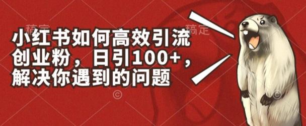 小红书如何高效引流创业粉,日引100+,解决你遇到的问题【揭秘】-副业团