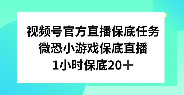 视频号直播任务，微恐小游戏，1小时20+【揭秘】-副业团