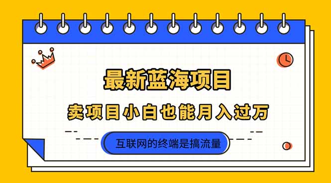 2025年最新蓝海项目,卖项目小白也能月入过万-副业团