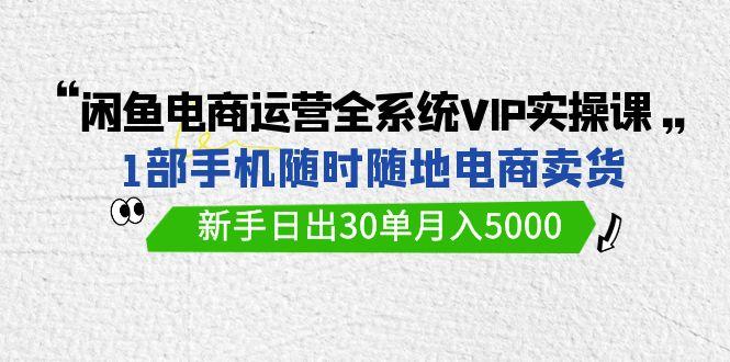 (9547期)闲鱼电商运营全系统VIP实战课，1部手机随时随地卖货，新手日出30单月入5000-副业团