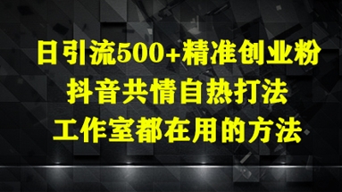 日引流500+精准创业粉,抖音共情自热打法,工作室都在用的方法-副业团