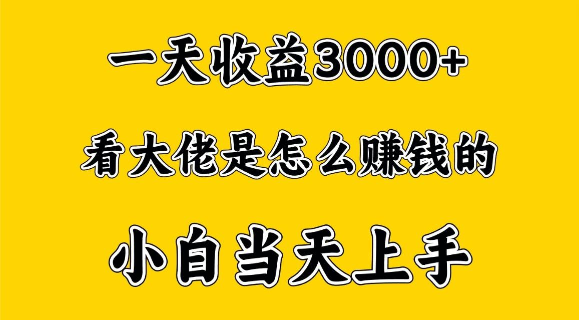 一天赚3000多，大佬是这样赚到钱的，小白当天上手，穷人翻身项目-副业团