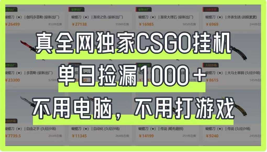 真全网独家CSGO挂机,单日捡漏1000+,不用电脑,不用养号-副业团