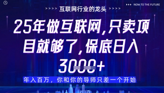 什么!25年你还在找项目做?风口早就变了,卖项目才是稳挣不赔【揭秘】-副业团