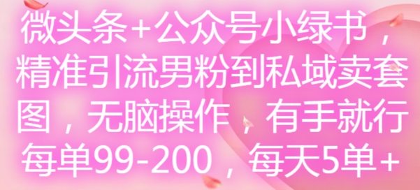 微头条+公众号小绿书，精准引流男粉到私域卖套图，无脑操作，有手就行，每单99-200，每天5单-副业团