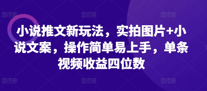 小说推文新玩法,实拍图片+小说文案,操作简单易上手,单条视频收益四位数