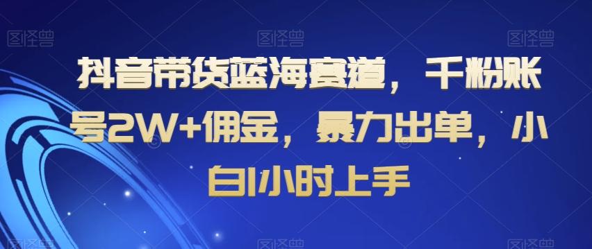 抖音带货蓝海赛道,千粉账号2W+佣金,暴力出单,小白1小时上手【揭秘】-副业团