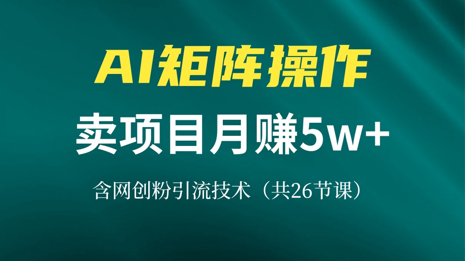 网创IP打造课,借助AI卖项目月赚5万+,含引流技术(共26节课-副业团