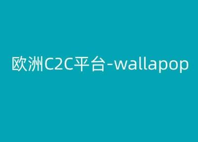 欧洲C2C平台-wallapop-kim跨境电商教程-副业团