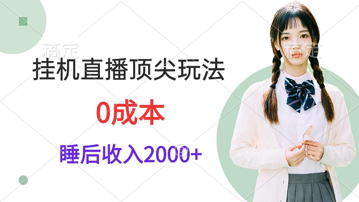 (9715期)挂机直播顶尖玩法，睡后日收入2000+、0成本，视频教学-副业团