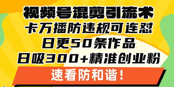 视频号混剪引流技术，500万播放引流17000创业粉，操作简单当天学会-副业团