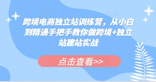 跨境电商独立站训练营，从小白到精通手把手教你做跨境+独立站建站实战-副业团