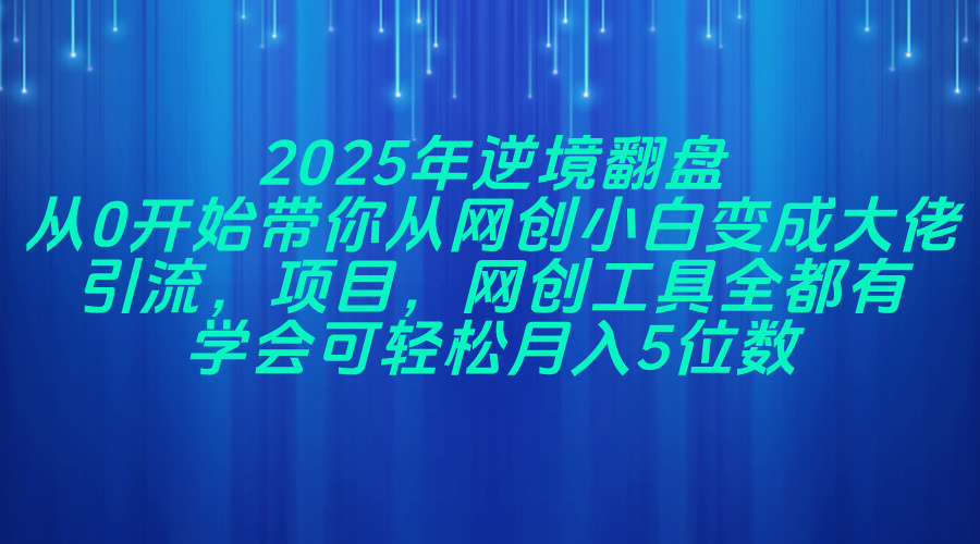 2025年逆境翻盘,从0开始带你从网创小白变成大佬,引流,项目,网创工...-副业团
