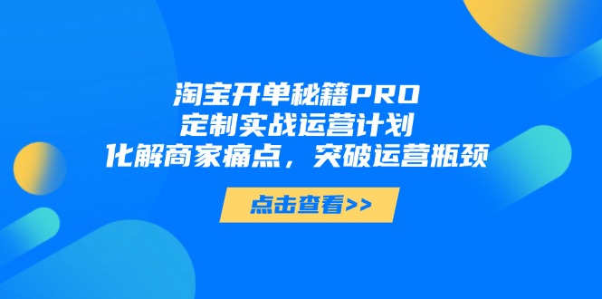 淘宝开单秘籍PRO,定制实战运营计划,化解商家痛点,突破运营瓶颈-副业团