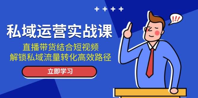 私域运营实战课:直播带货结合短视频,解锁私域流量转化高效路径-副业团