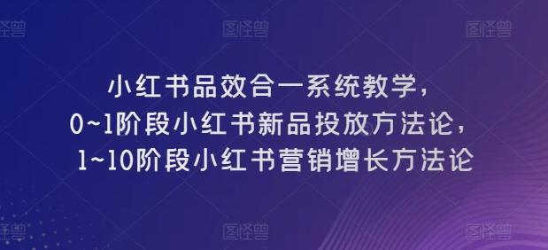 小红书品效合一系统教学,0~1阶段小红书新品投放方法论,1~10阶段小红书营销增长方法论-副业团