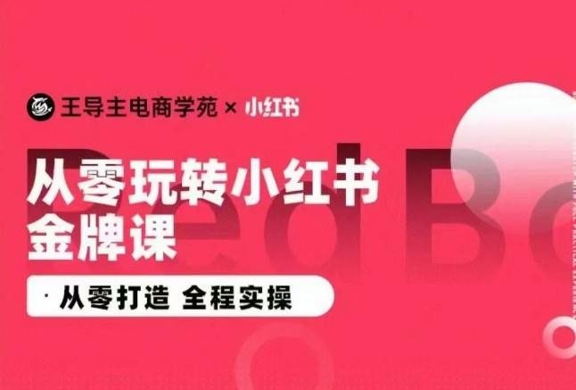 王导主·小红书电商运营实操课,从零打造  全程实操