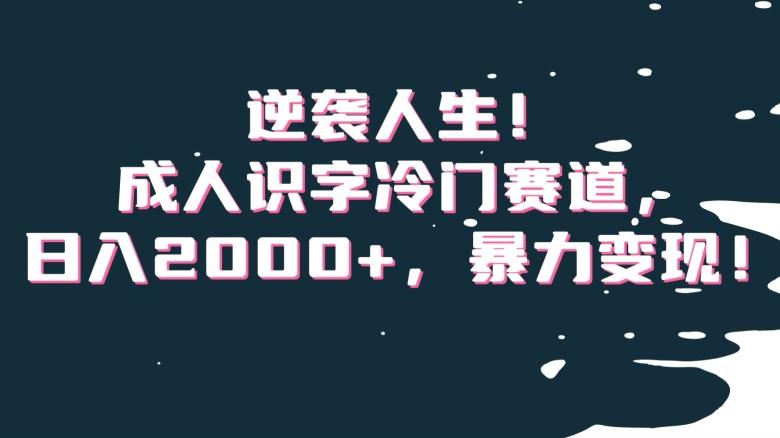 逆袭人生！成人识字冷门赛道，日入2000+，暴力变现！【揭秘】-副业团