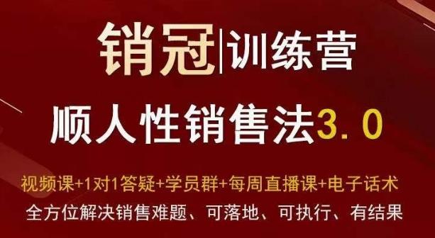 爆款!销冠训练营3.0之顺人性销售法,全方位解决销售难题、可落地、可执行、有结果-副业团