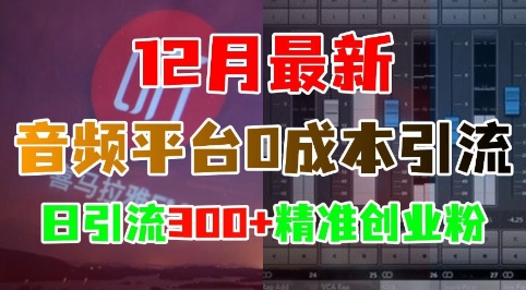 12月最新:音频平台0成本引流,日引流300+精准创业粉-副业团