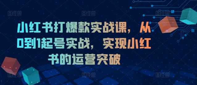小红书打爆款实战课，从0到1起号实战，实现小红书的运营突破-副业团
