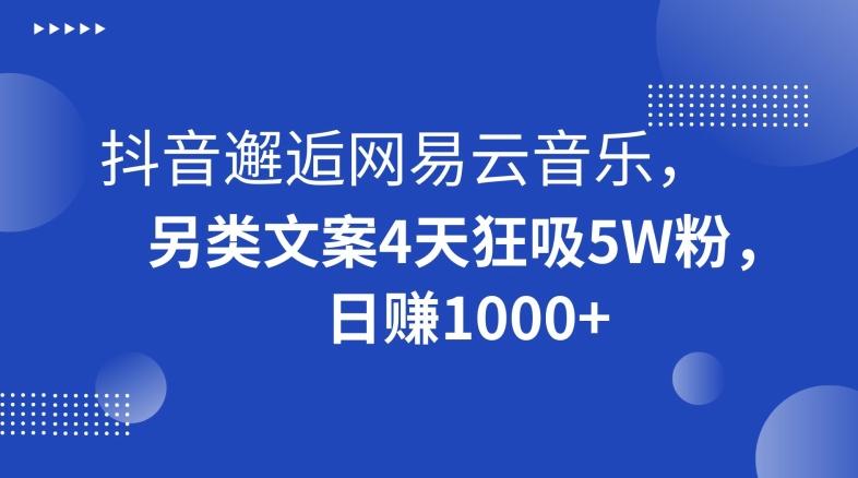 抖音邂逅网易云音乐,另类文案4天狂吸5W粉,日赚1000+【揭秘】-副业团
