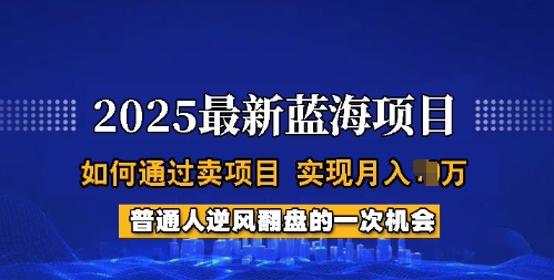2025蓝海项目,普通人如何通过卖项目,实现月入过W,全过程【揭秘】-副业团