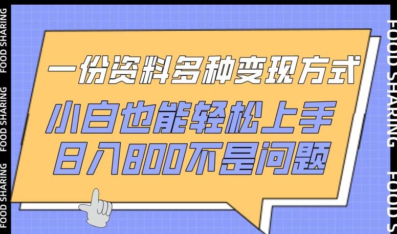 一份资料多种变现方式,小白也能轻松上手,日入800不是问题【揭秘】-副业团