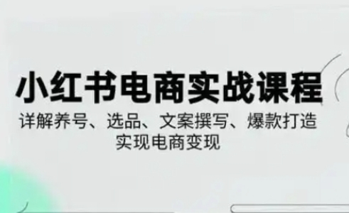 小红书从0-1实操课(2023-2025),详解养号、选品、文案撰写、爆款打造实现电商变现-副业团