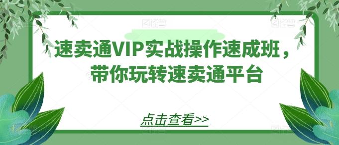 速卖通VIP实战操作速成班,带你玩转速卖通平台-副业团