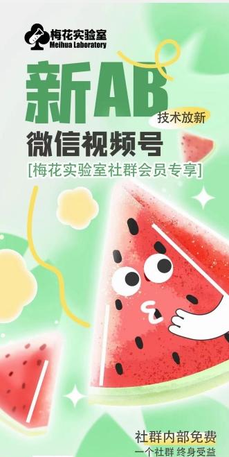 梅花实验室2024年AB技术视频号AB合成破解版-副业团